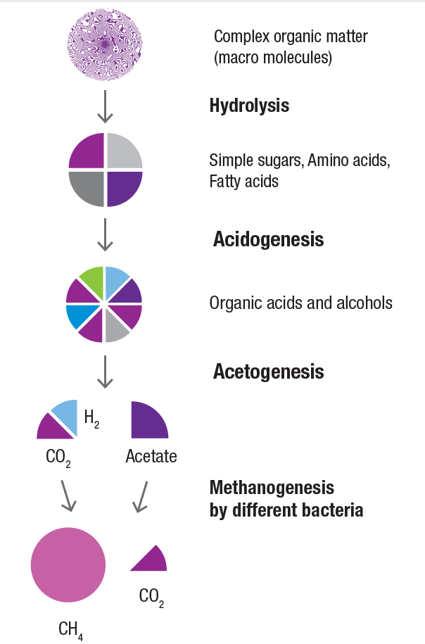 Biochemical conversion of lignocellulosic biomass f3 centre